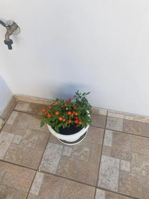 New Lovely Apartment In Heraklion